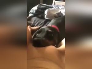 Woman and dog in shocking beastly video