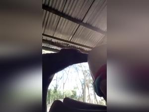 Cine de bestialismo extremo - Porno con perros y gatos