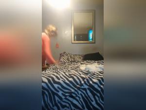 Pushing Boundaries: The Zoophilia Realm