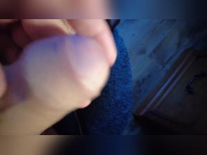 Intimate Bestiality Encounter at Dusk