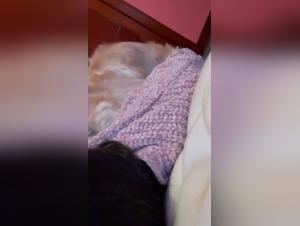 forbidden desires fulfilled