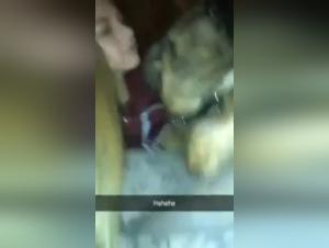 Bestiality sex video: a woman and a dog