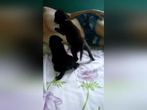 Forbidden Frontiers: Animal Abuse Exposed