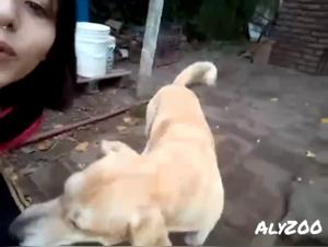 Zoo Beeg: Una Paixon Zoofila Extrema