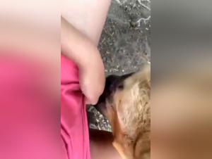 bestiality video and beastie girls