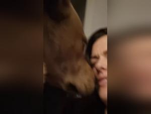 Comprendre les limites ethiques