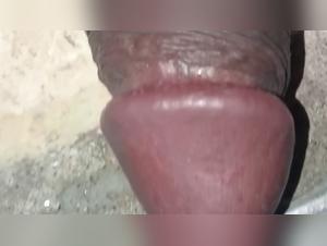 diving into controversial zoo art