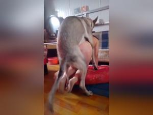 Forbidden Desires: Unveiling the Taboo