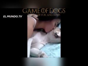 Vidéo de Sexe Bestialité - Découvrez le Monde de la Zoophilie