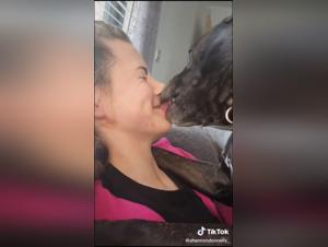 Forbidden Love: Human and Canine Intimacy