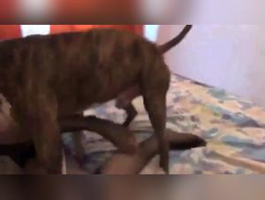 Russian Girl Fucking Her Dog