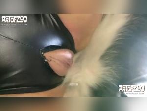 Absolute Pet - Devotehuendin and ARTOFZOO Extreme Zooophilia Experience