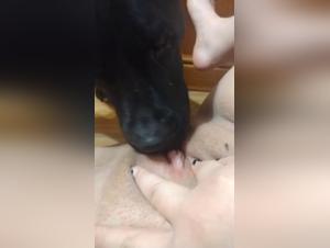 Papis Who Love Dogs Sexually the Most