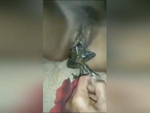 Navigating the Grey: Artofzoo & Bestiality Laws