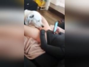 Zoophilia Video: A Woman and Her Dog