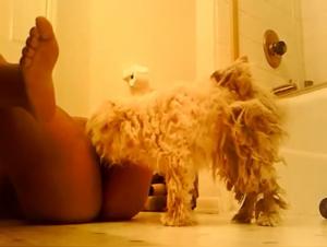 Video of Sex with a Dog