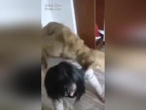 Banned video: Bestiality sex with a dog