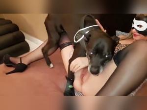 Young Girl and Dog Zooporno: Female Dog Sex with the Girl's Pet