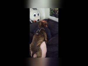 Bestiality: A woman and her dog