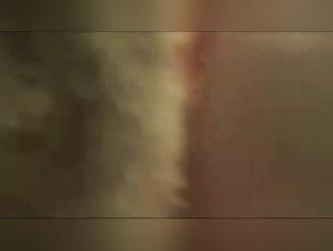 First Zoophilia Experience