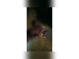 Forbidden Intimacy: Human and Canine Encounters