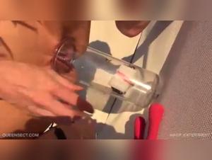 Bee and its sting on a cat: a video of extreme zoophilia