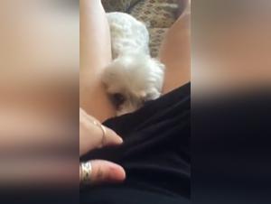 Video of Sex with a Dog