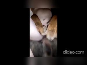 Dirty Dog Bitch Gets Whipped While Fucking