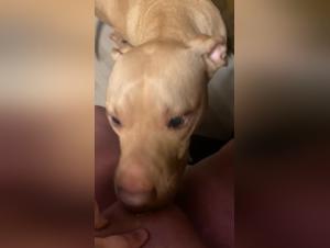 AlisonProd.com:  Where Taboo Meets XXXzoo