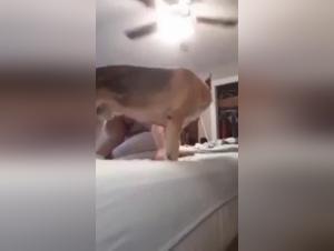 Milf and dog: a beastly encounter