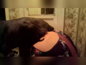 zoofilia tube compilation