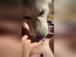 Extreme Dog Sex Videos: Unleash Your Inner Animal