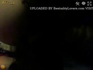 Shocking bestiality: baby cat and dog