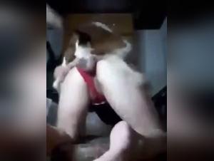 Amateur woman and dog: an intense sex session