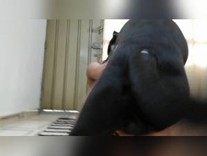 Animal Abuse: Crossing Boundaries