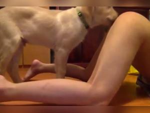 Dog licking a young woman in an intense zoophilia scene