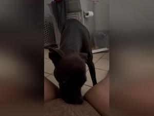 Bestial encounter: woman and dog