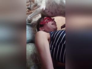 videos de zoofilia alisionprod