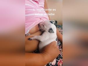 Bestiality sex video: Woman breastfeeding a puppy