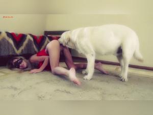 Woman in red dress and her two canine companions