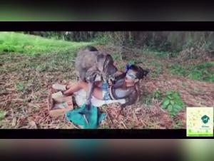 Woman and dog in the garden: a shocking bestiality video
