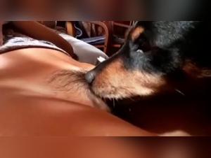 Single woman and her dog: an intense zoophilia video