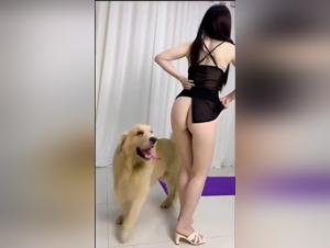 forbidden pleasures: delving into zoo tube