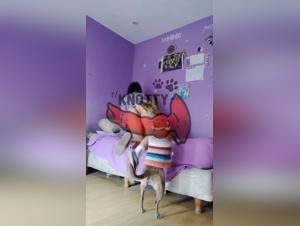 Dog fucks brunette: wild animalistic moment between dog and pussy