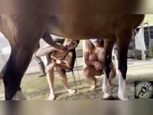 Blonde whore Valeria gets fucked by a horse lover