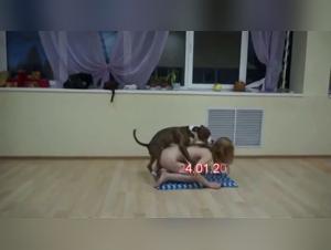 Nadya's Shocking Bestiality Scene: ArtofZoo's Russia Team