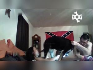 intimate moment with a dog