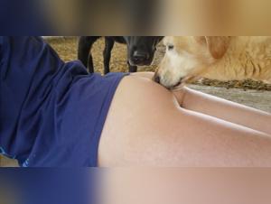 Woman gets licked by a dog without panties - Extreme zoophilia video
