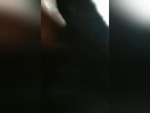 Zoophilia Videos - Discover Sex with Animals