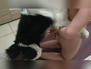 Bestiality: a woman and her dog